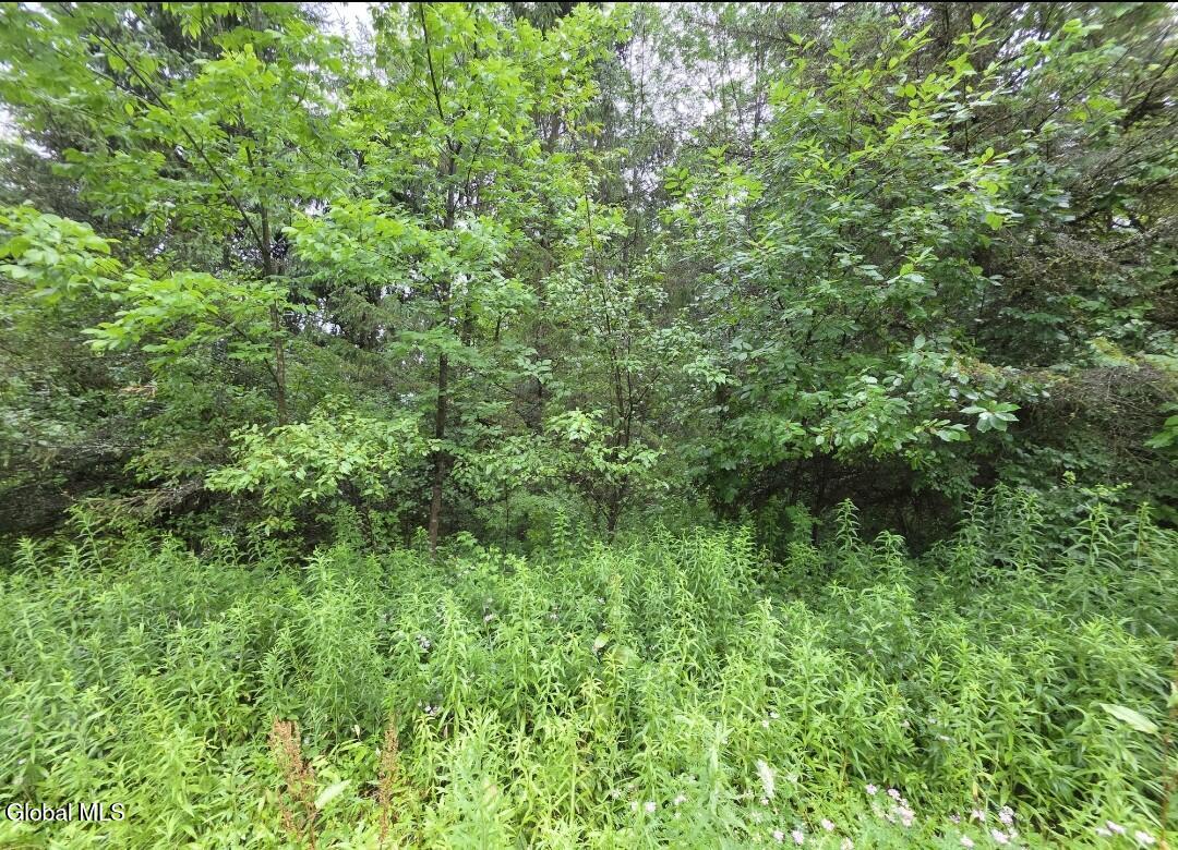 L-28.03 Halbert Hill Road, L-28.03