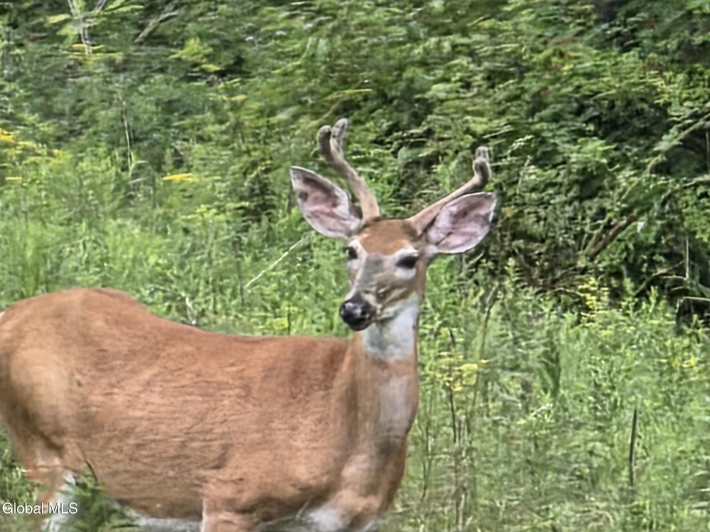 762 County Highway 16