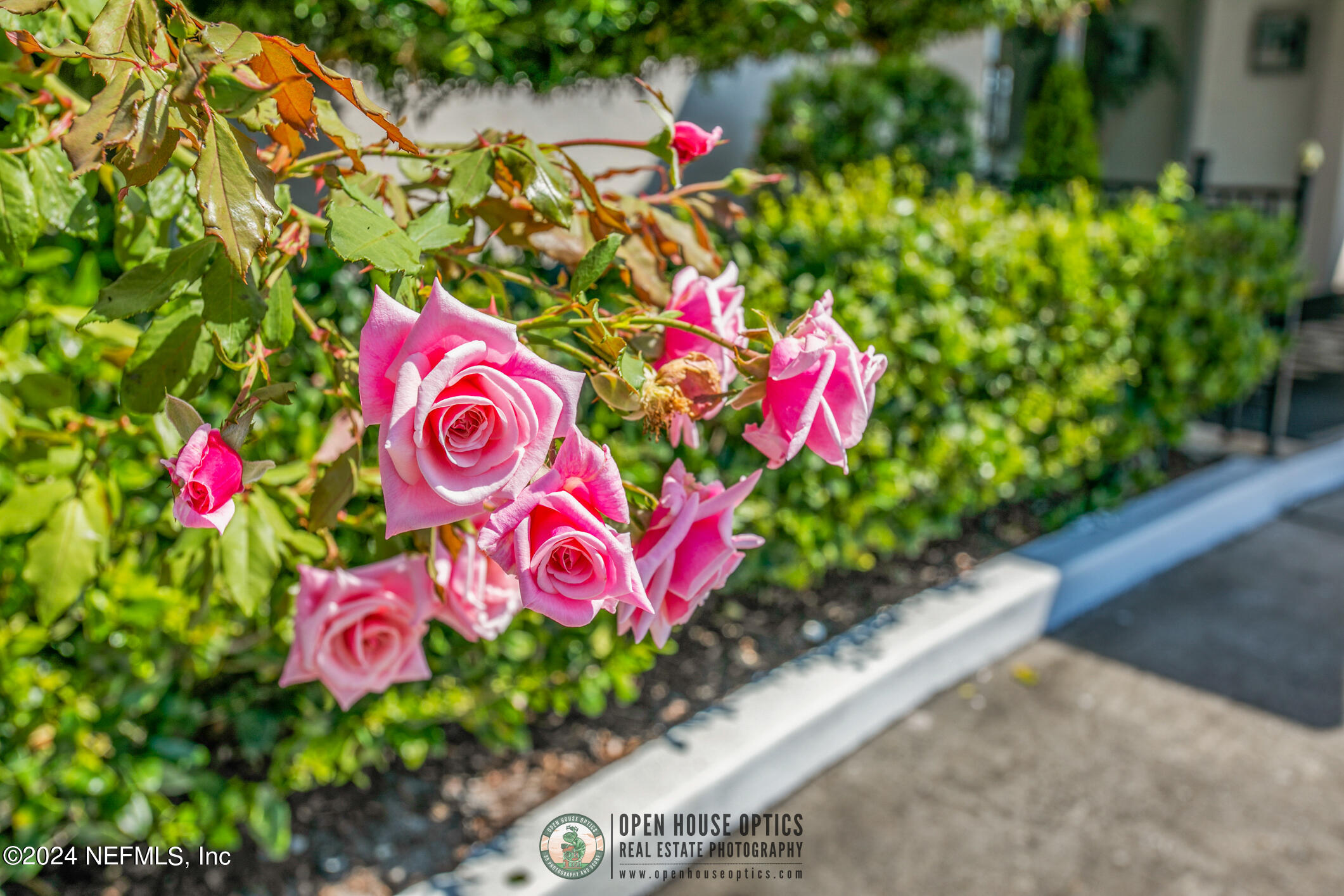 1560 LANCASTER Terrace, 802 & 804