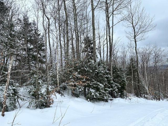 30 Spruce Pond Road