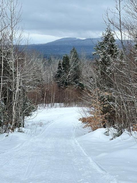 30 Spruce Pond Road