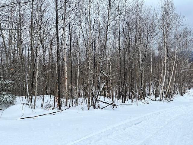 30 Spruce Pond Road