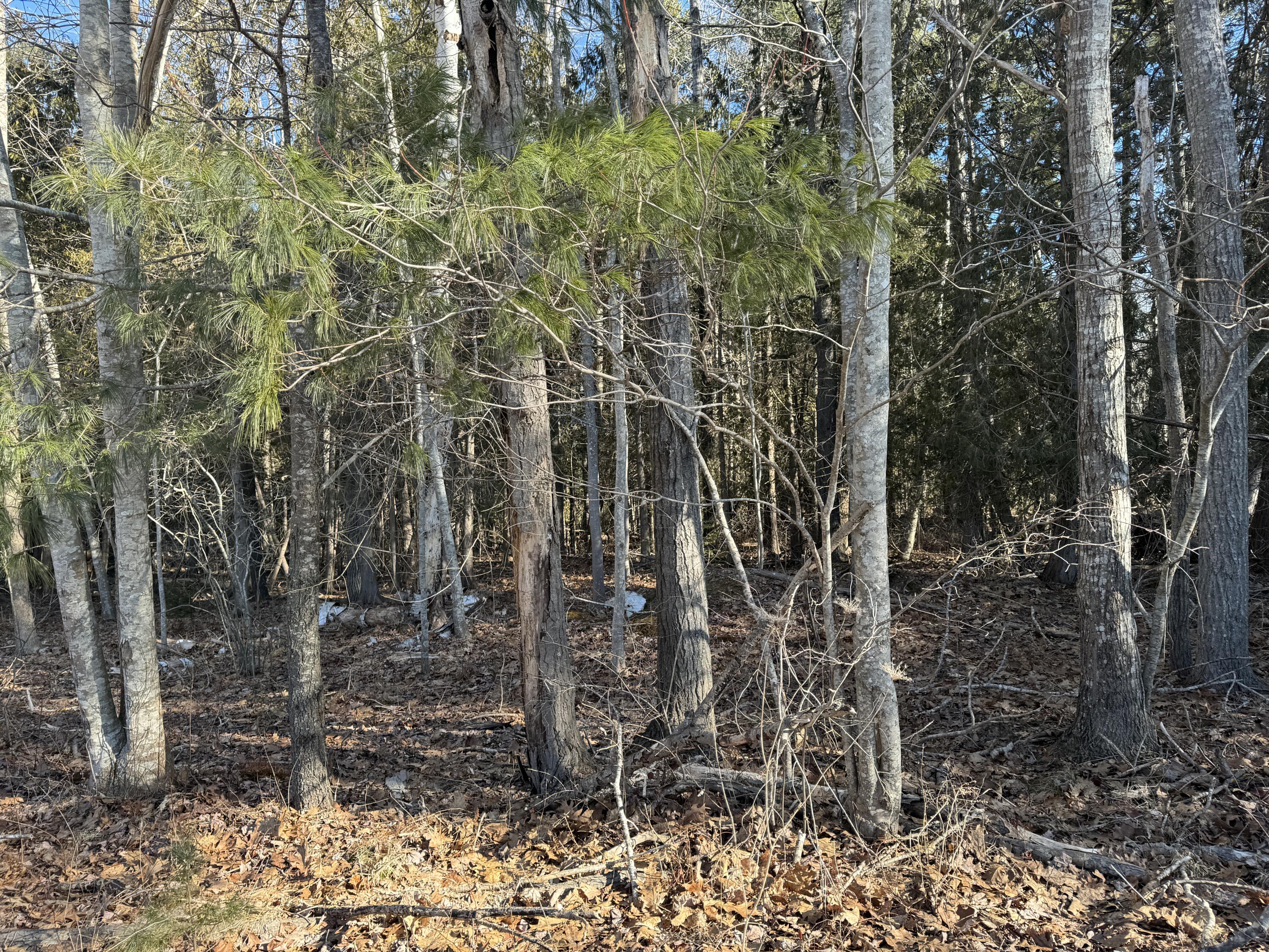 38 Hodgdon Road