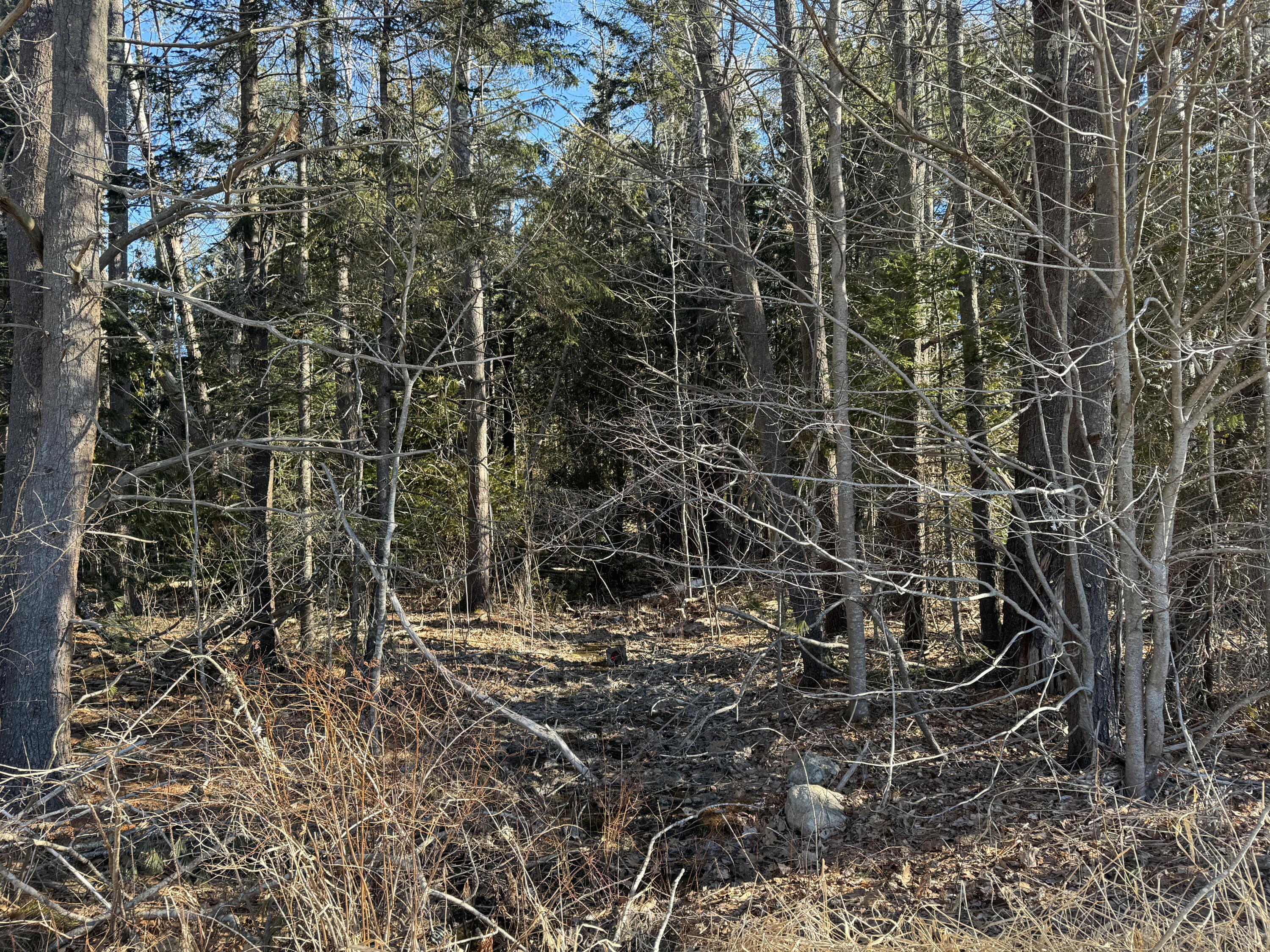 38 Hodgdon Road