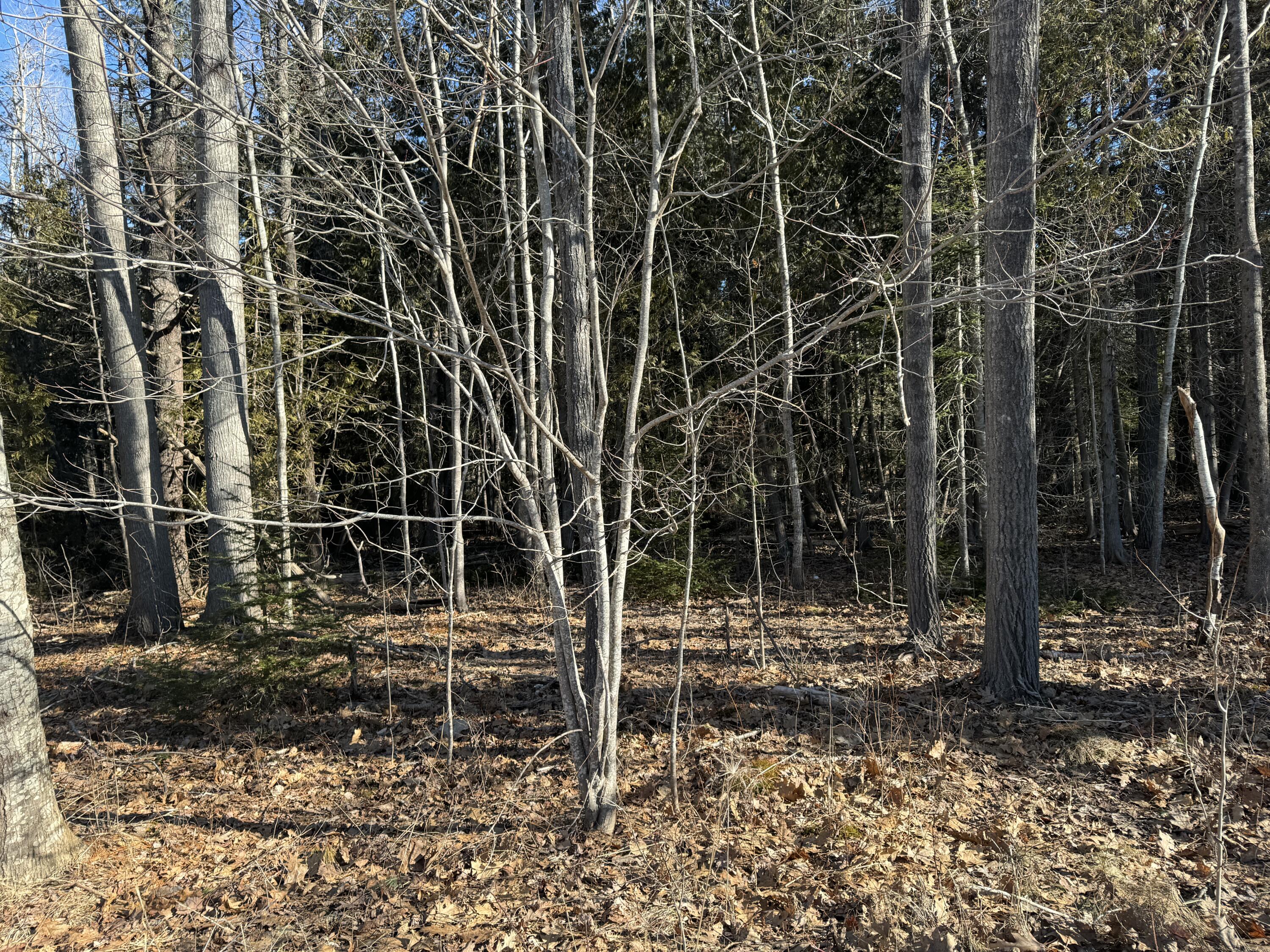 38 Hodgdon Road