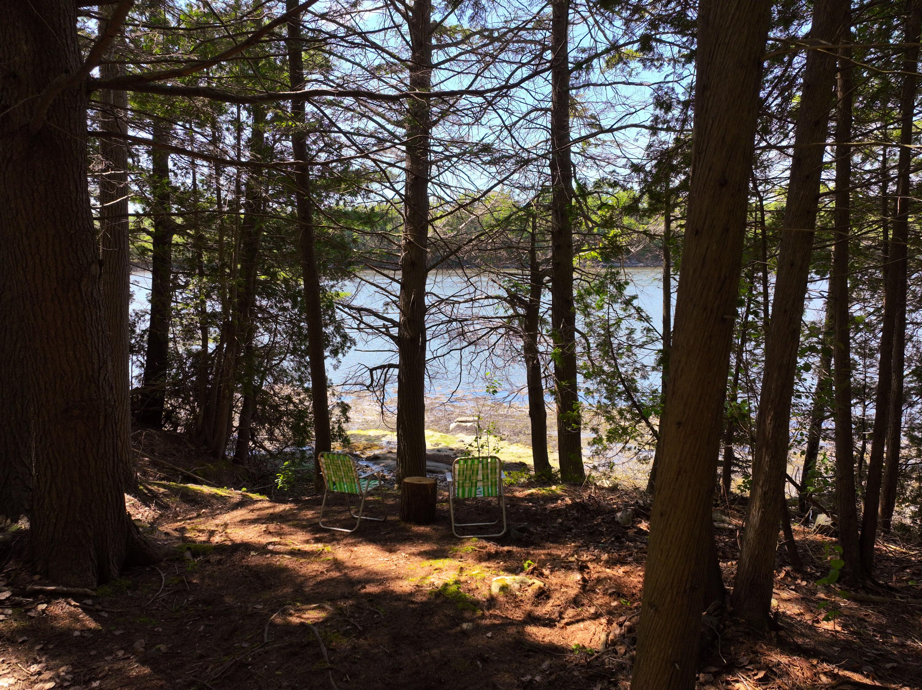 17 Evergreen Lane
