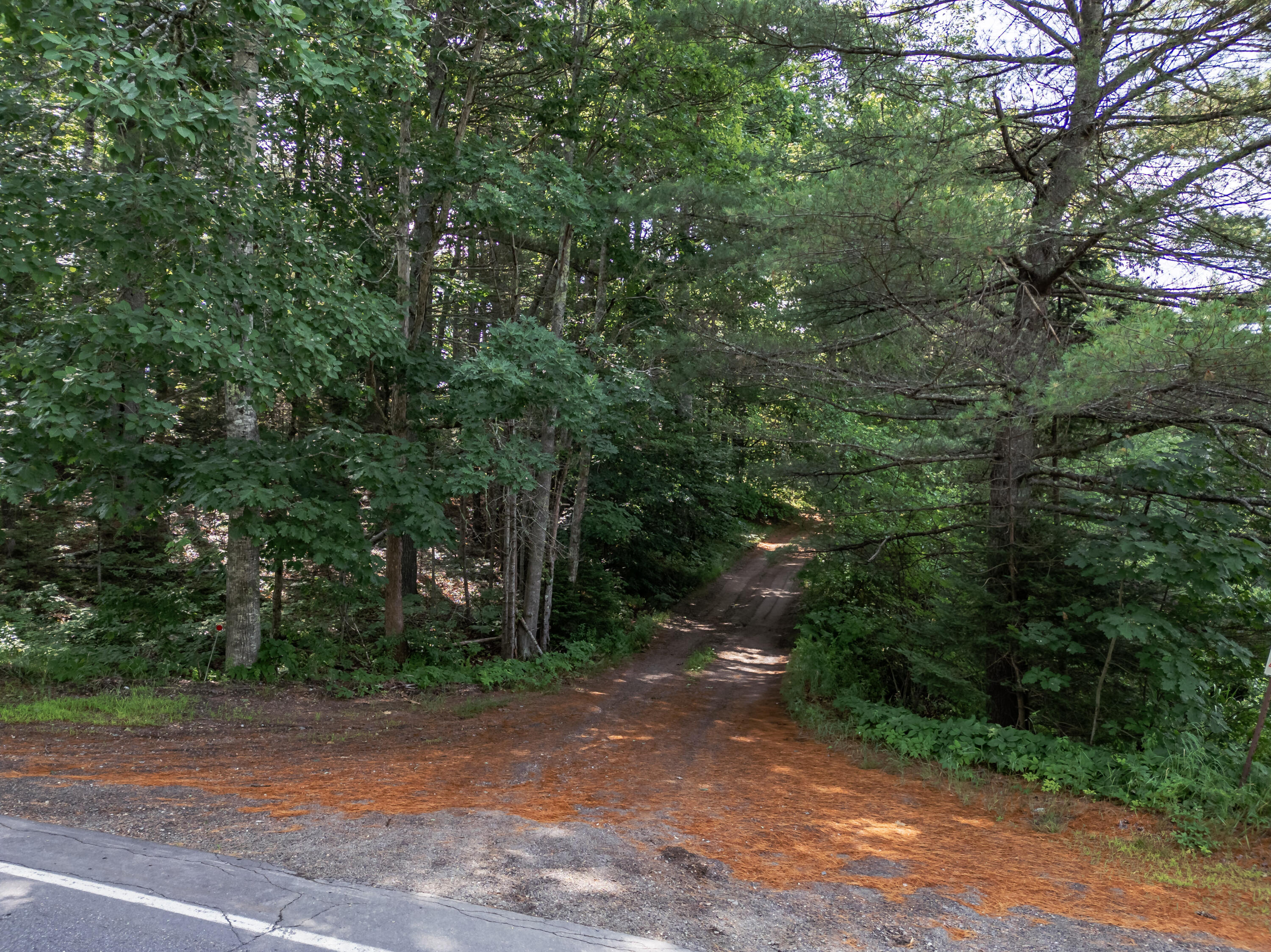 131 Biscay Road
