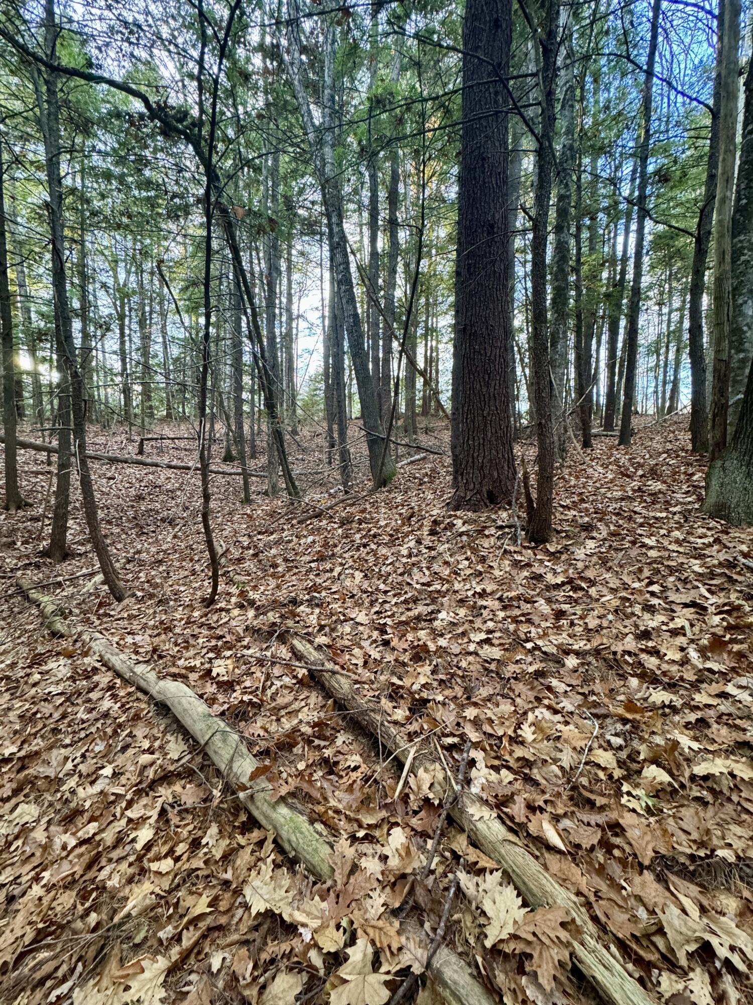 258 Bradford Road