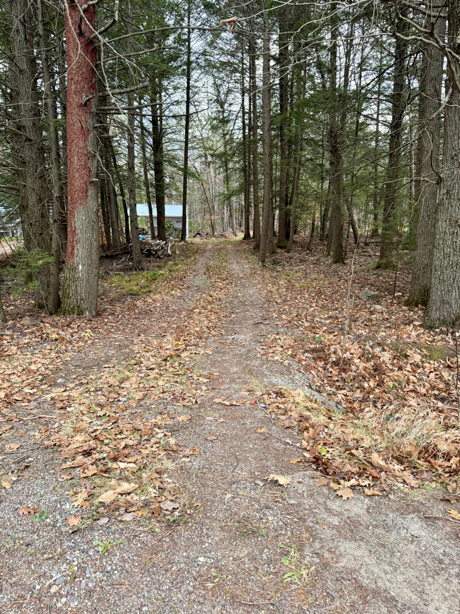 258 Bradford Road
