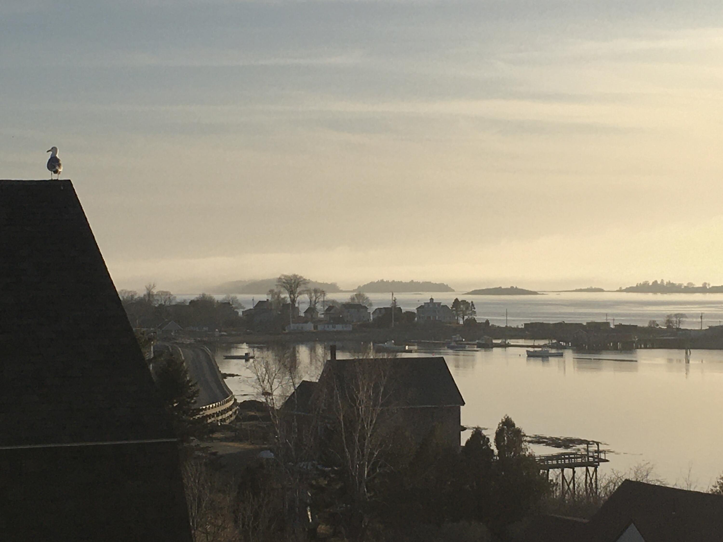 6 Merritt House Road, P2