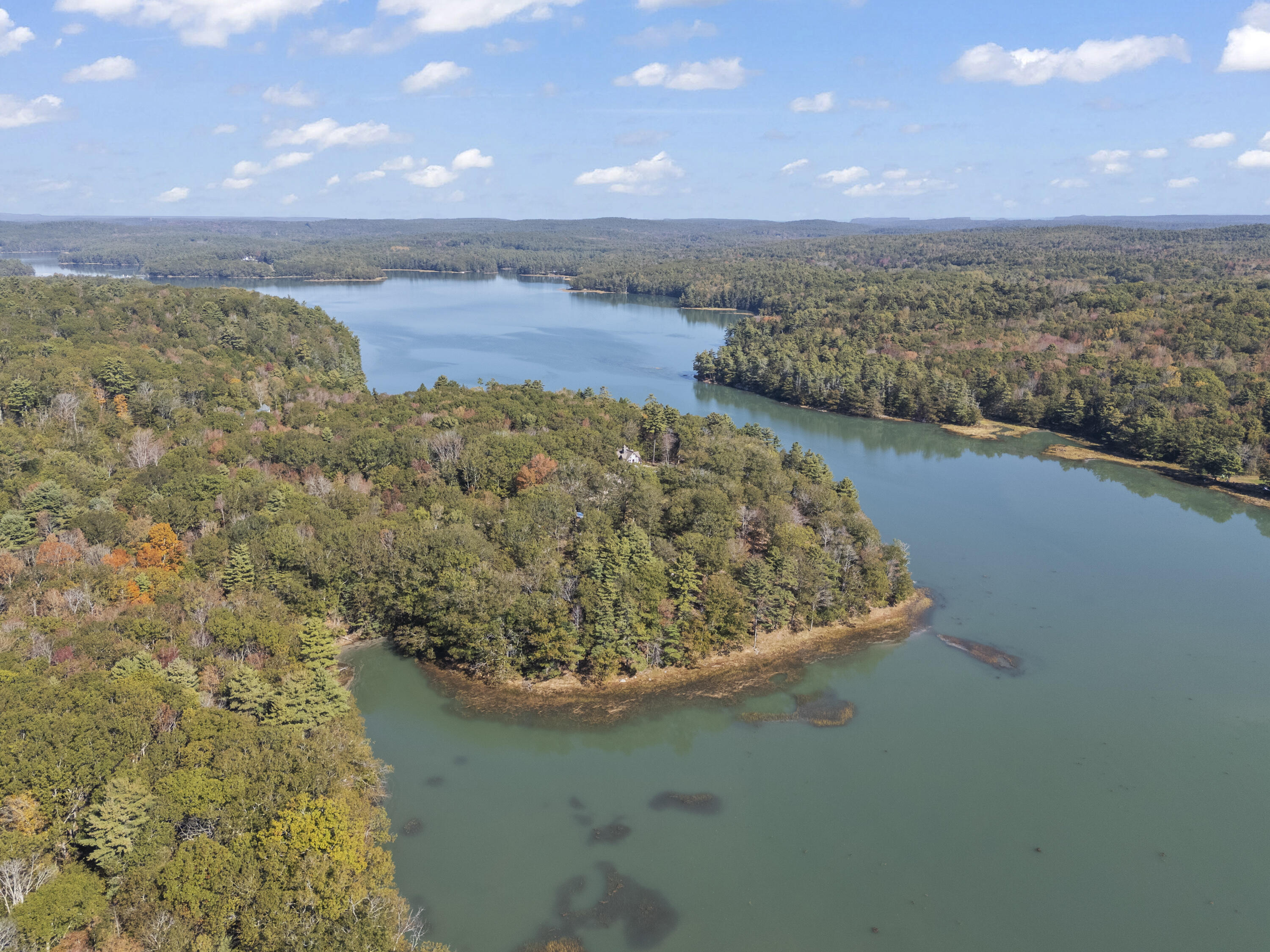 96 Forest Haven Road