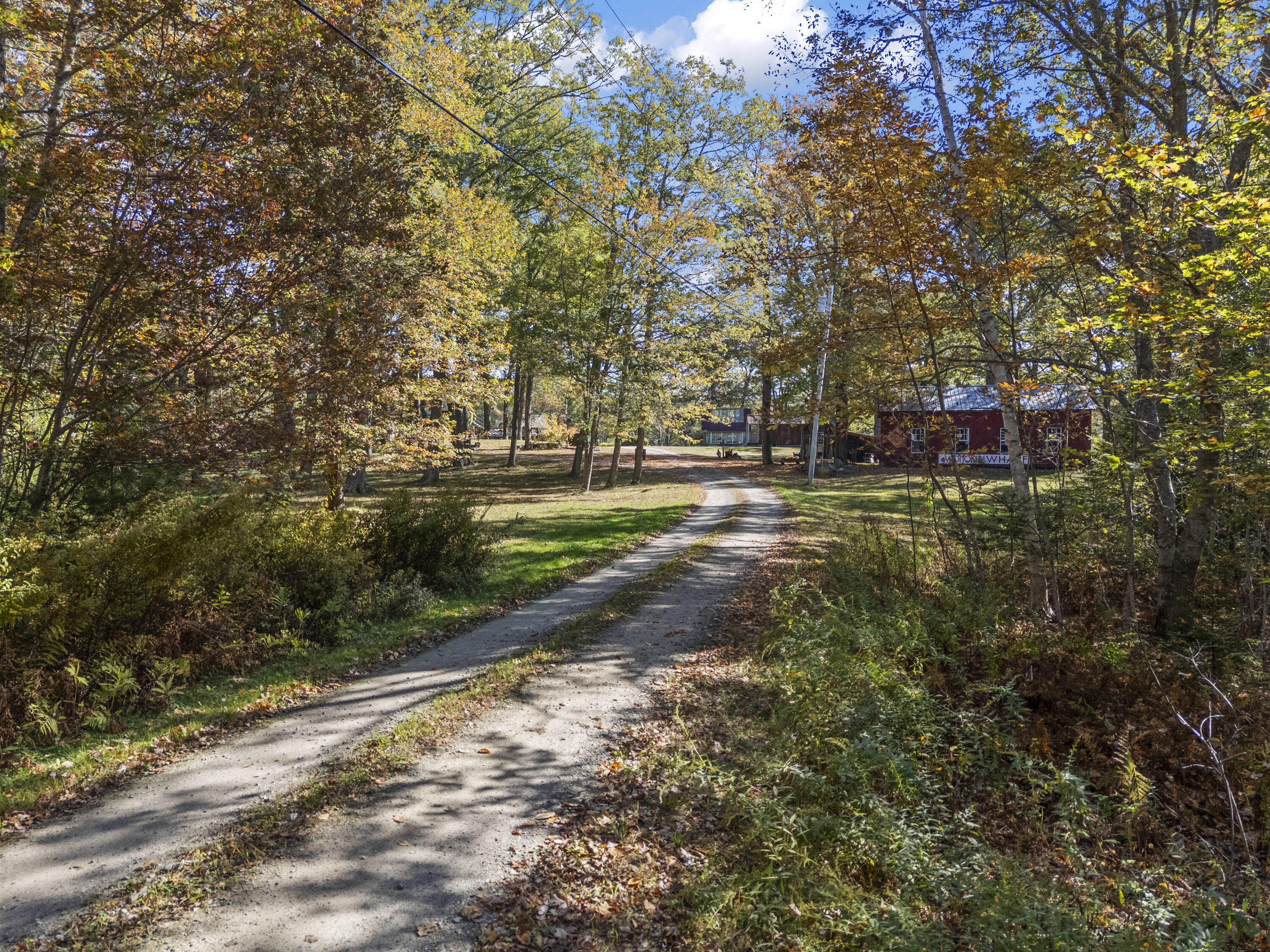 96 Forest Haven Road