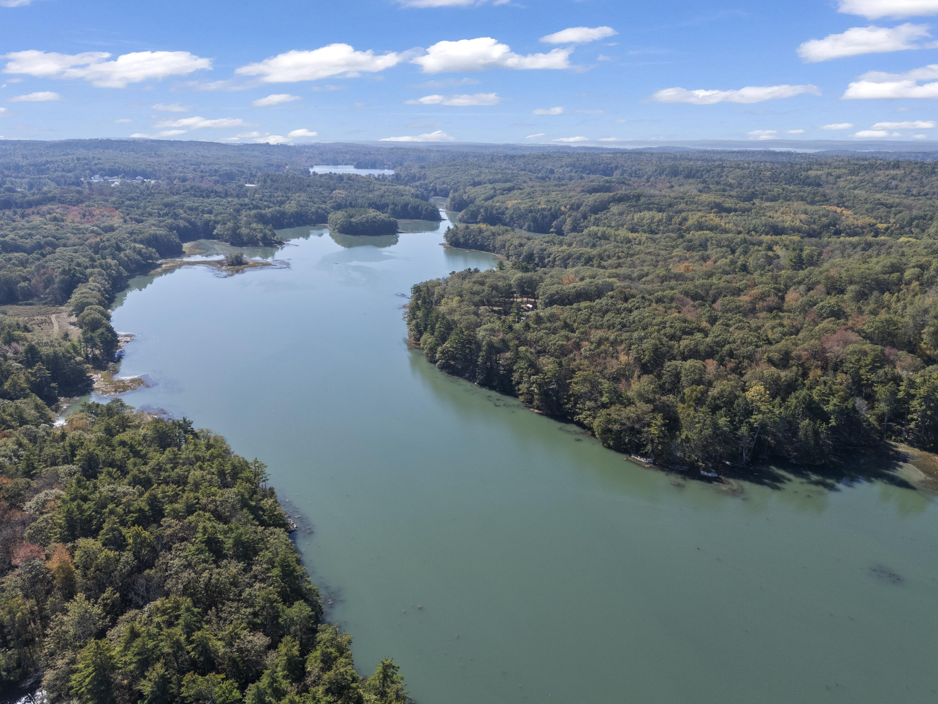 96 Forest Haven Road