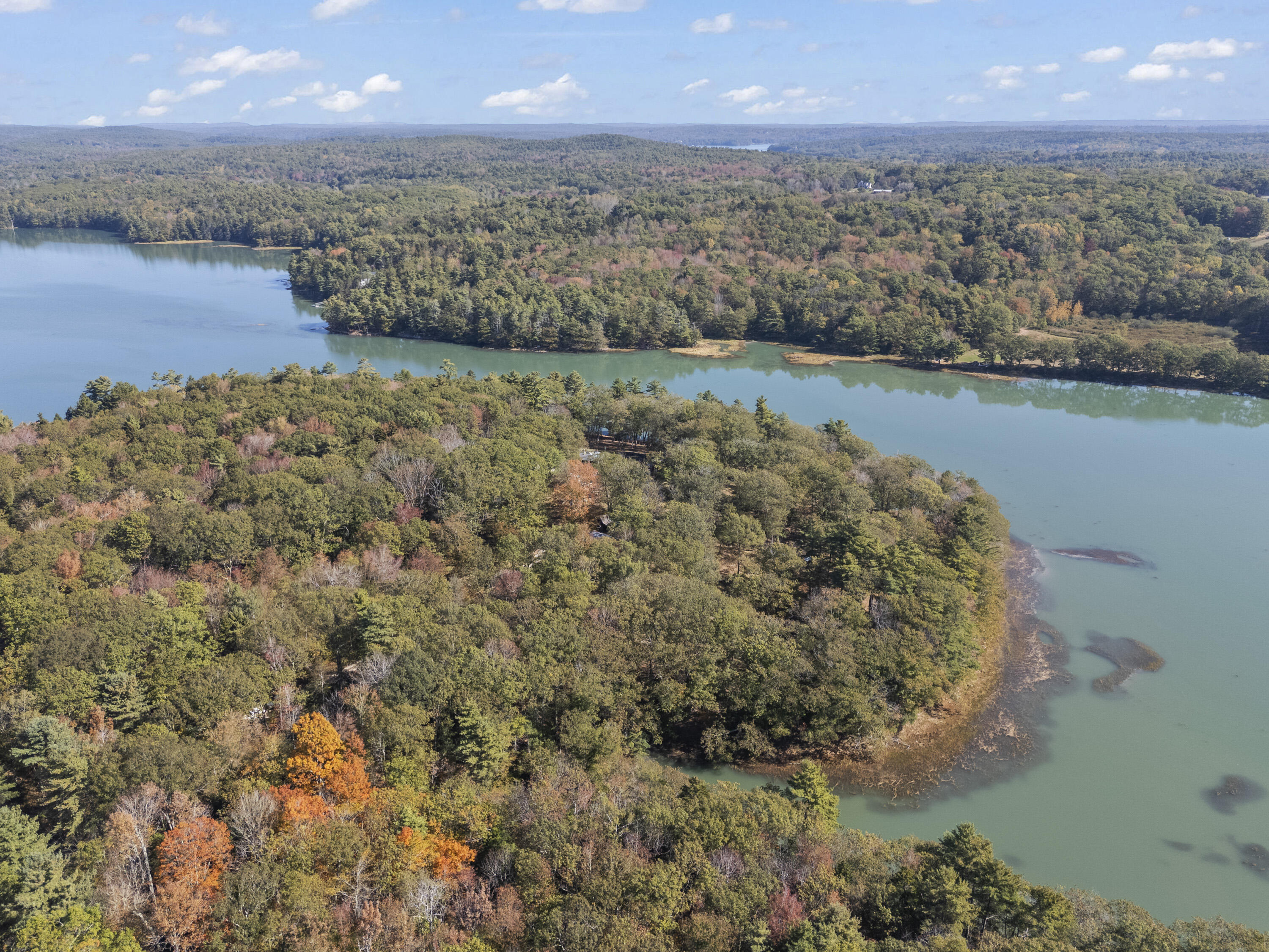 96 Forest Haven Road