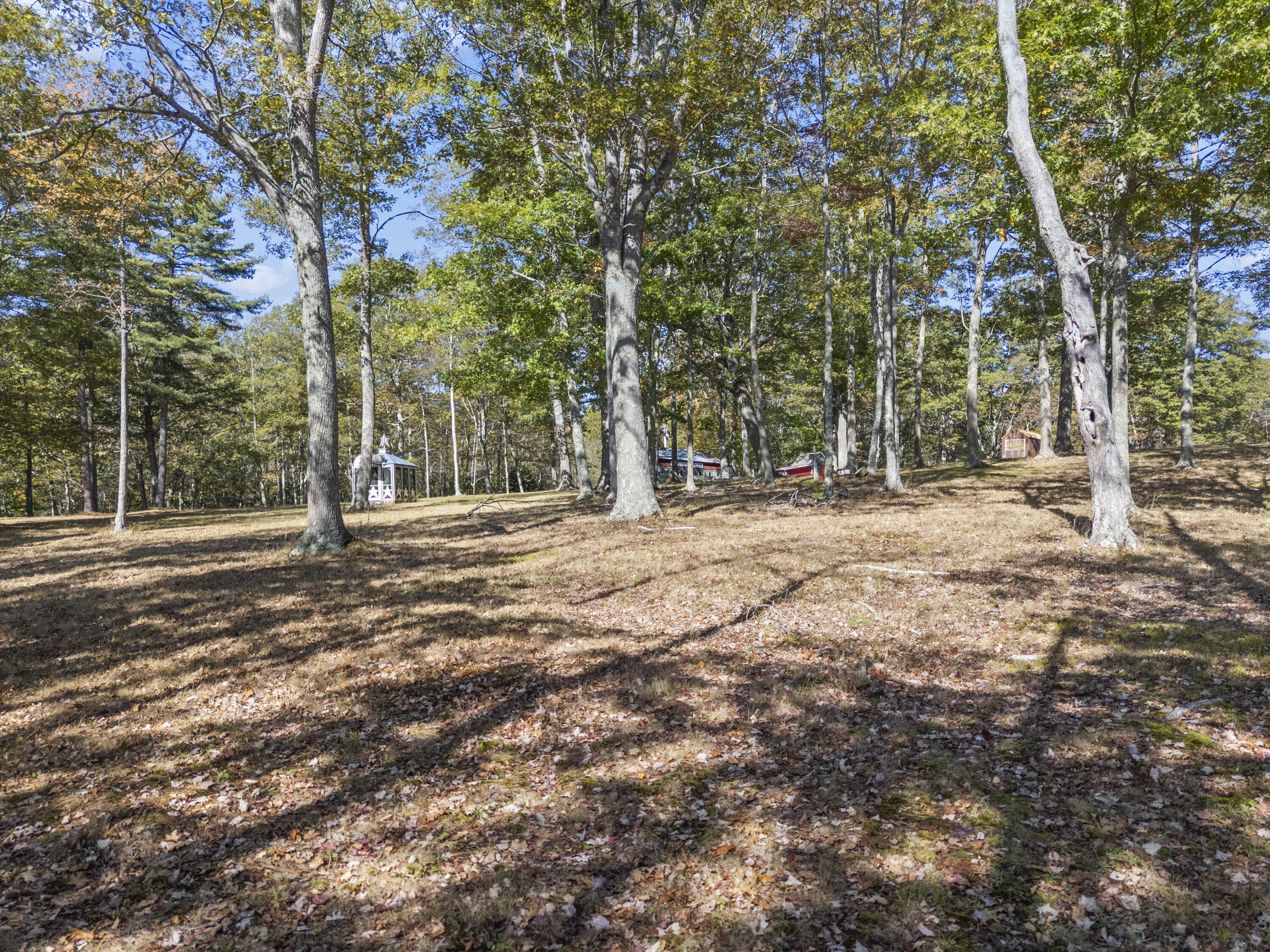 96 Forest Haven Road