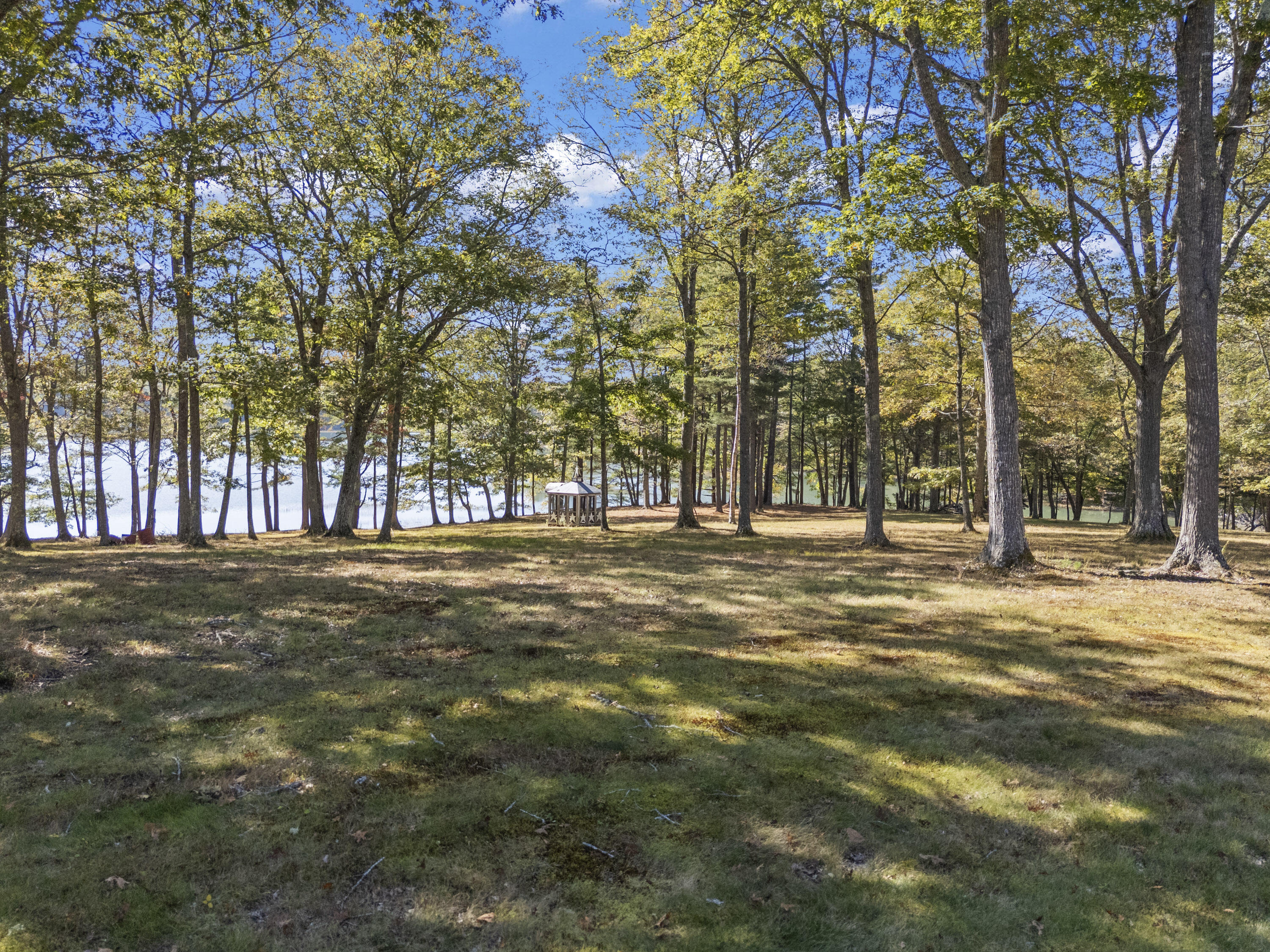 96 Forest Haven Road