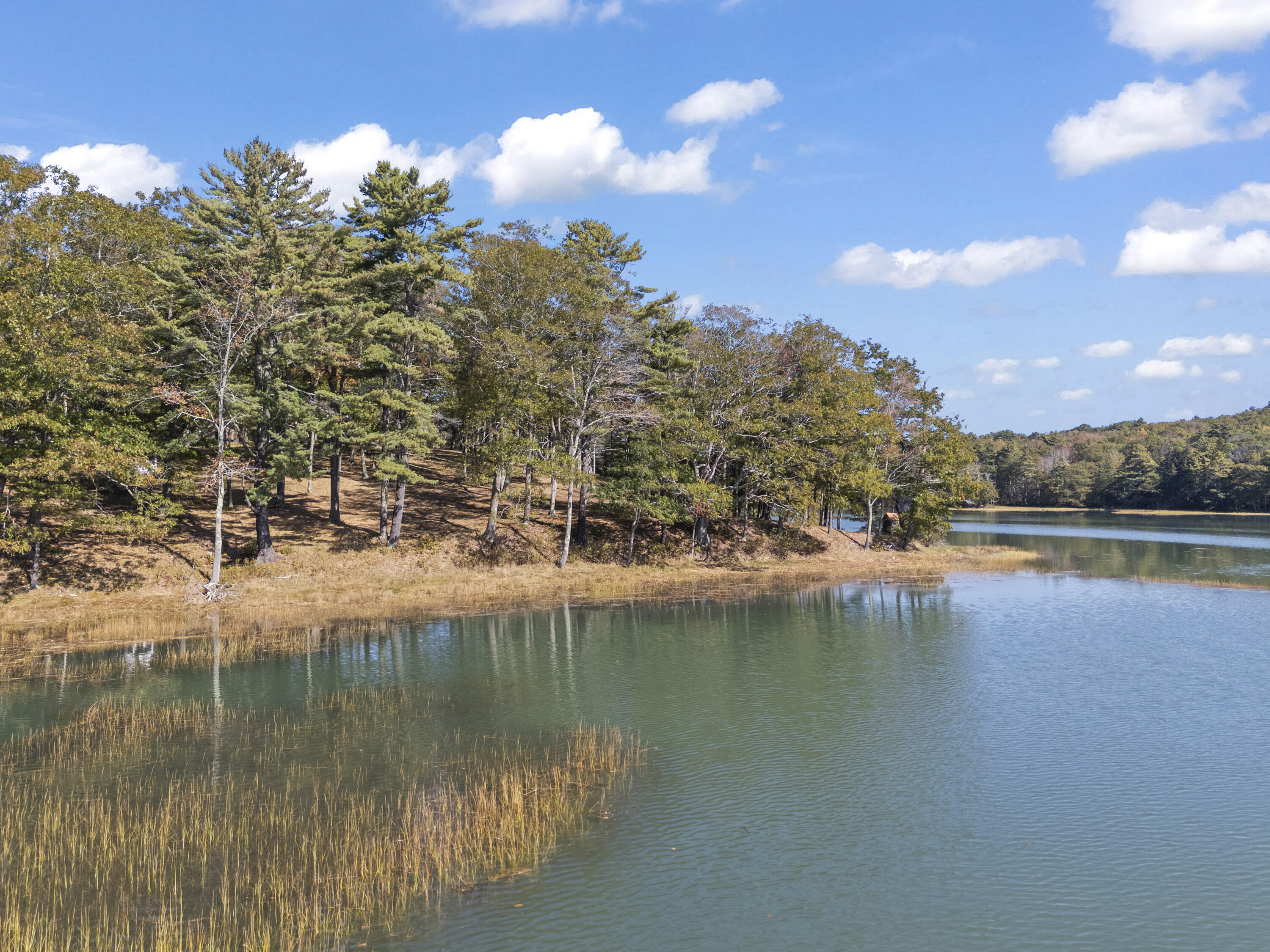 96 Forest Haven Road