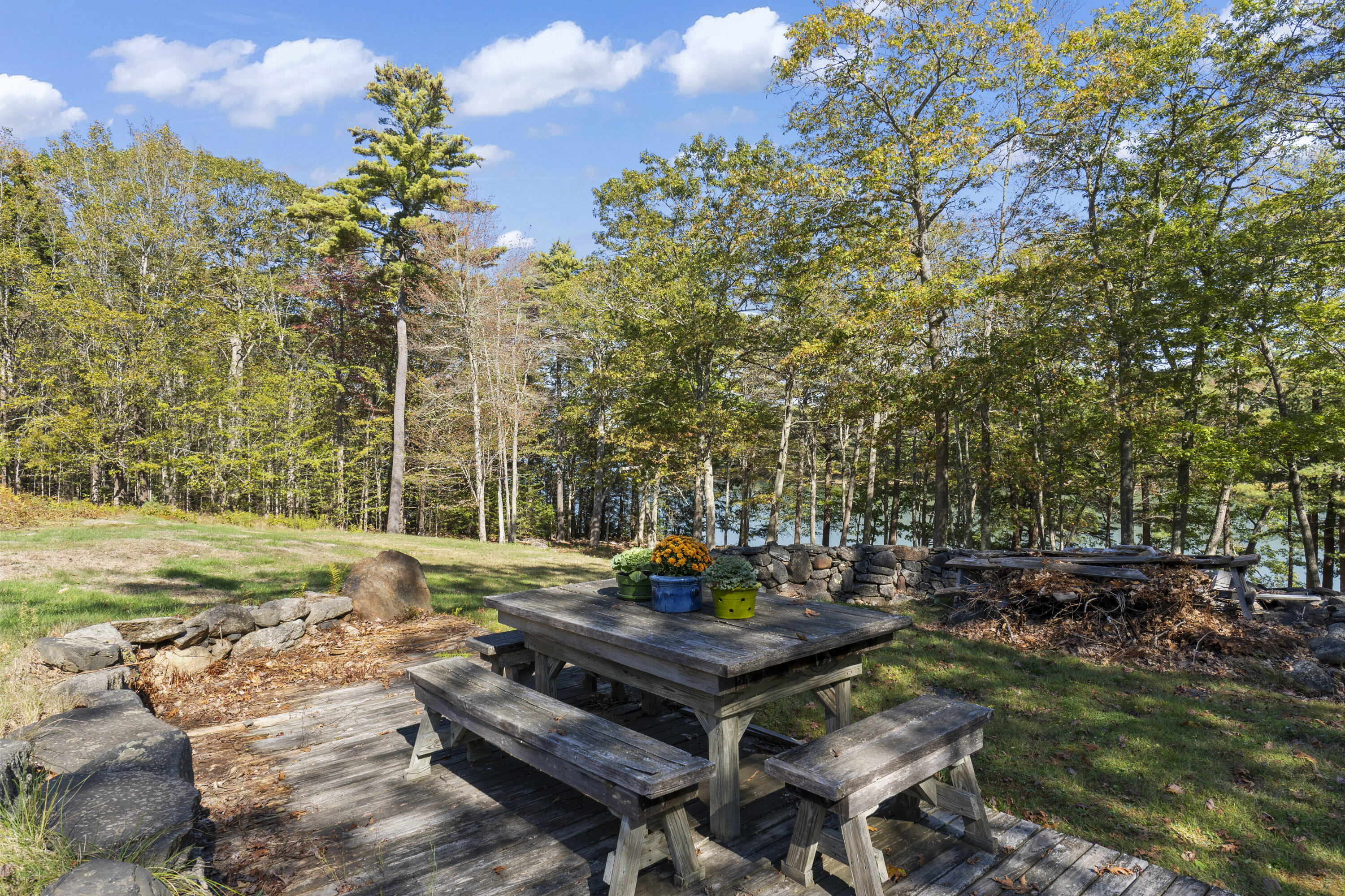 96 Forest Haven Road