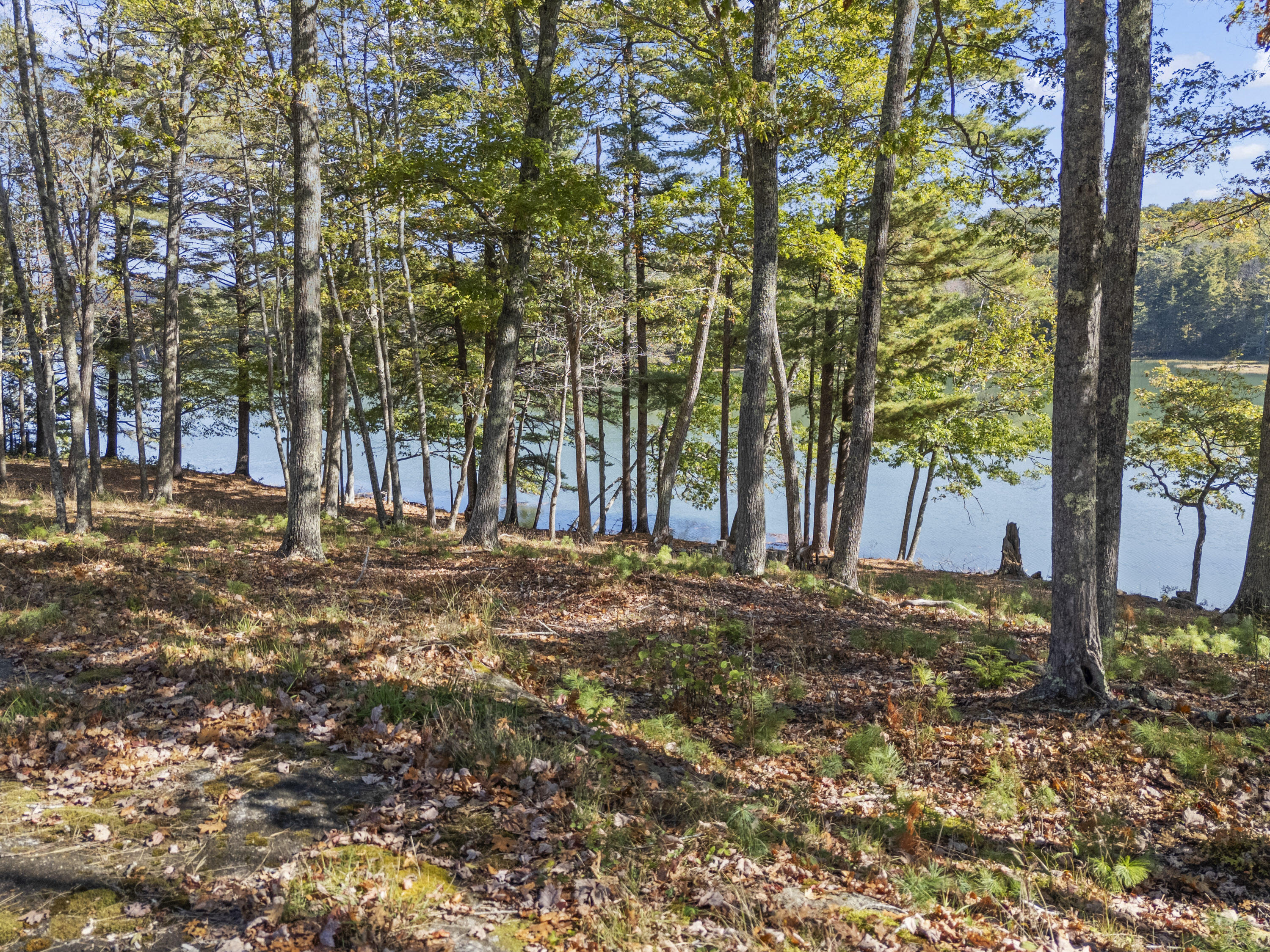 96 Forest Haven Road