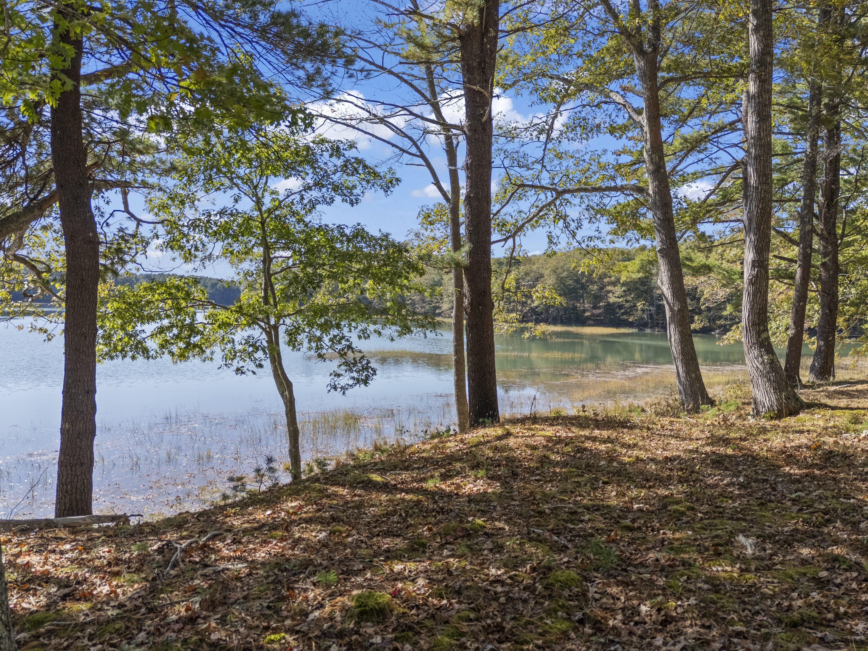 96 Forest Haven Road