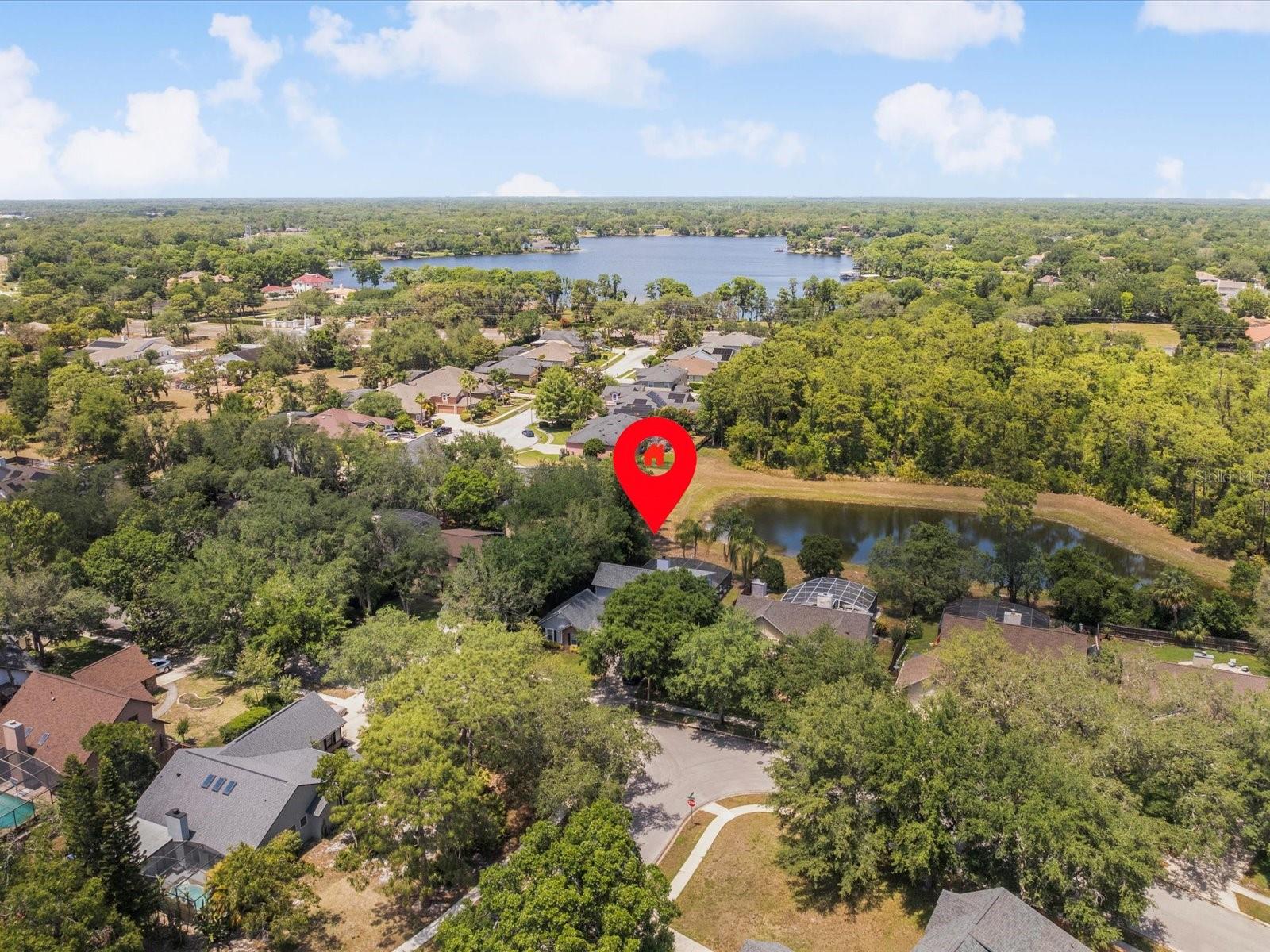 226 RINGWOOD DR