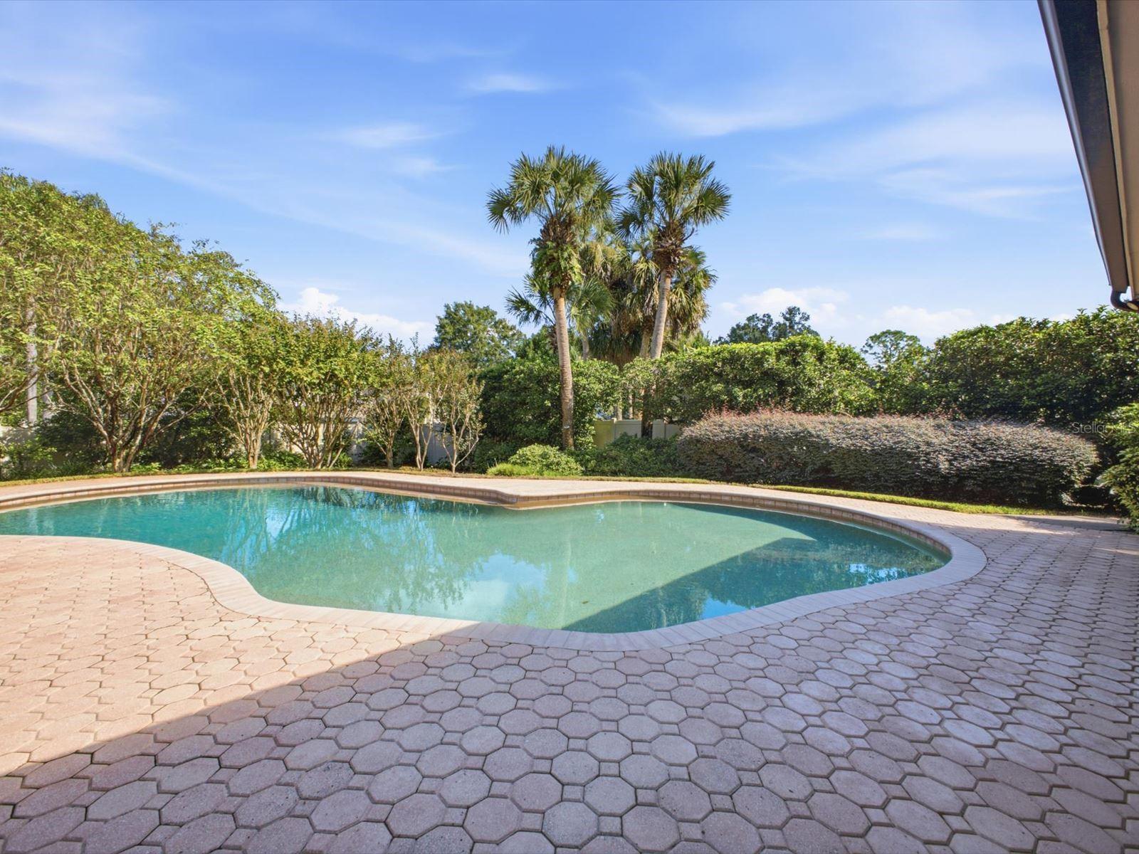 1735 DEMETREE DR