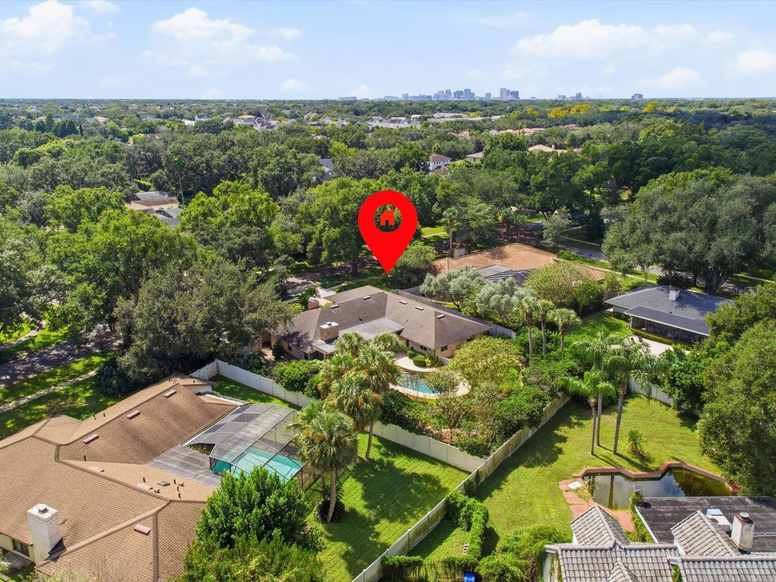 1735 DEMETREE DR