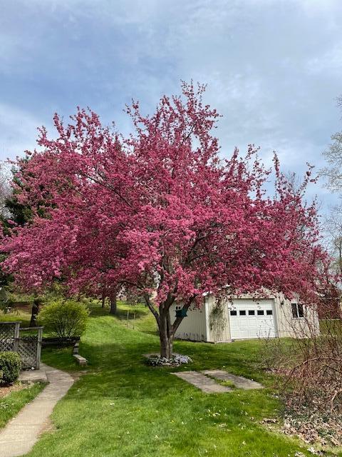 8820 Huron River Drive