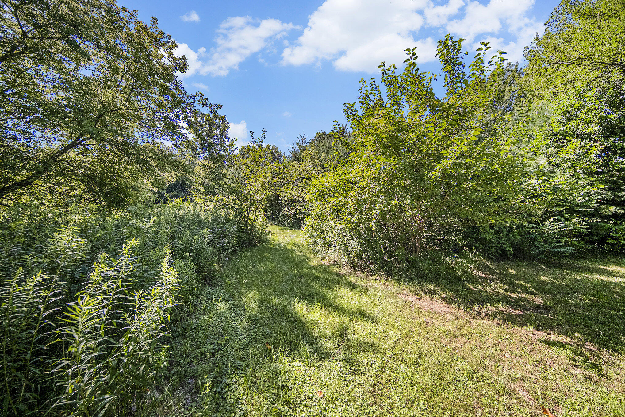 1653 W Willis Road