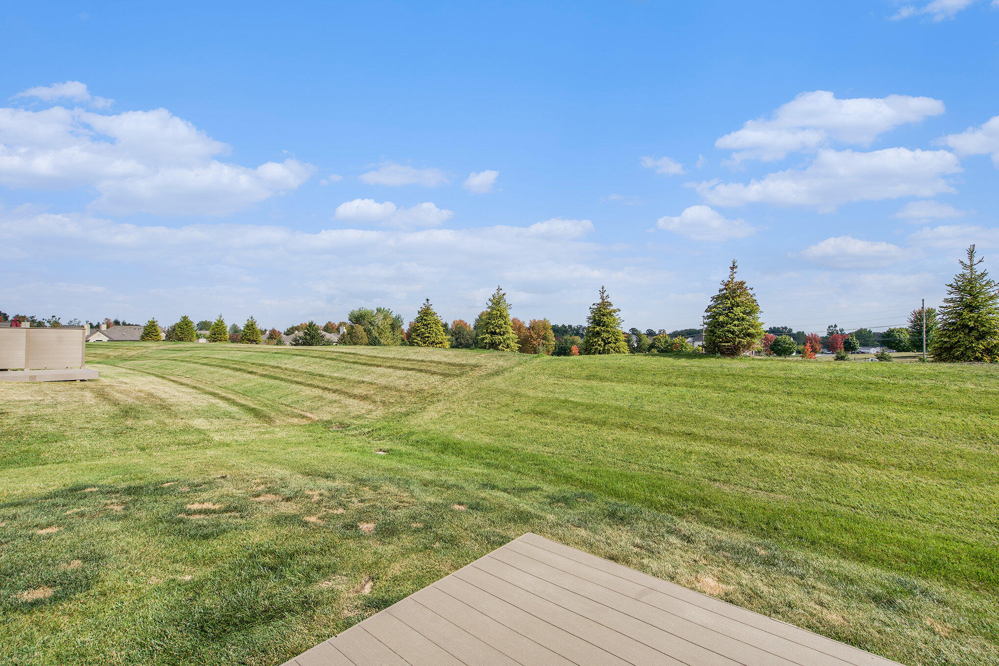 1206 Salt Springs Drive