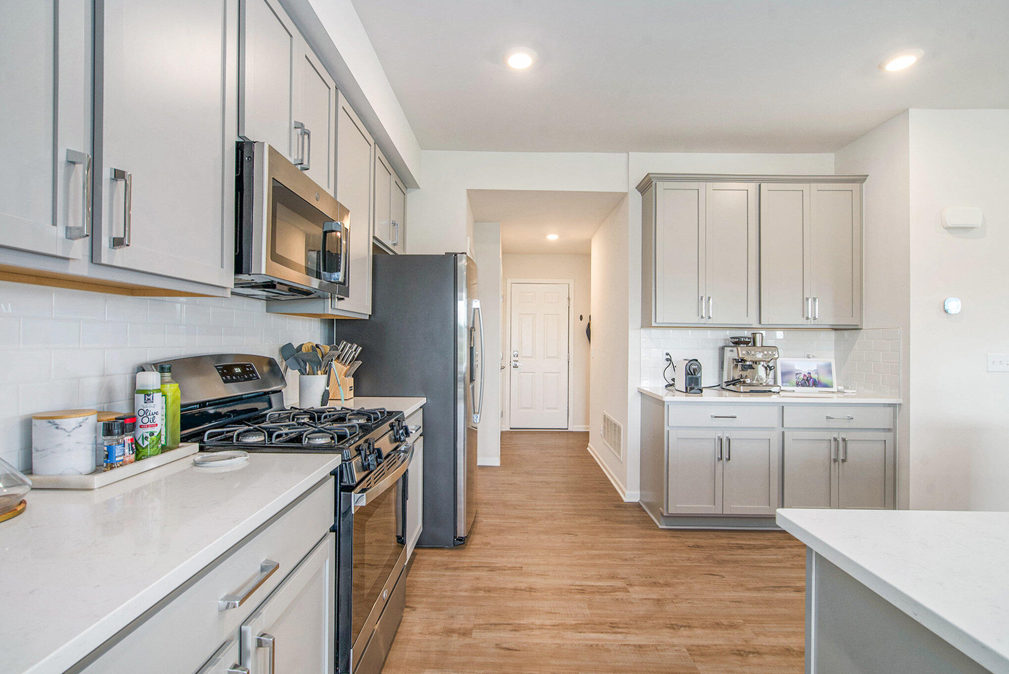 1206 Salt Springs Drive