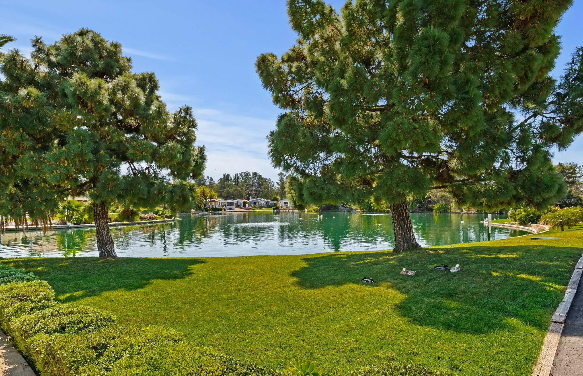 945 Ward Drive Spc 195