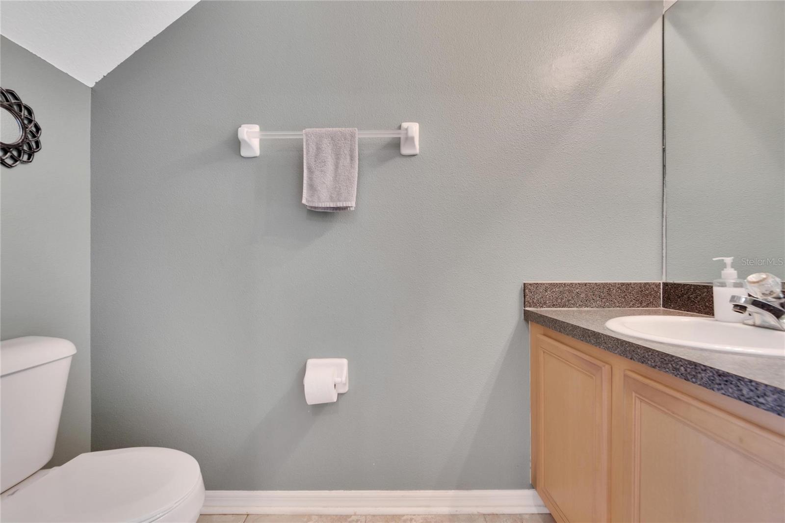 10701 CHESHAM HILL CT