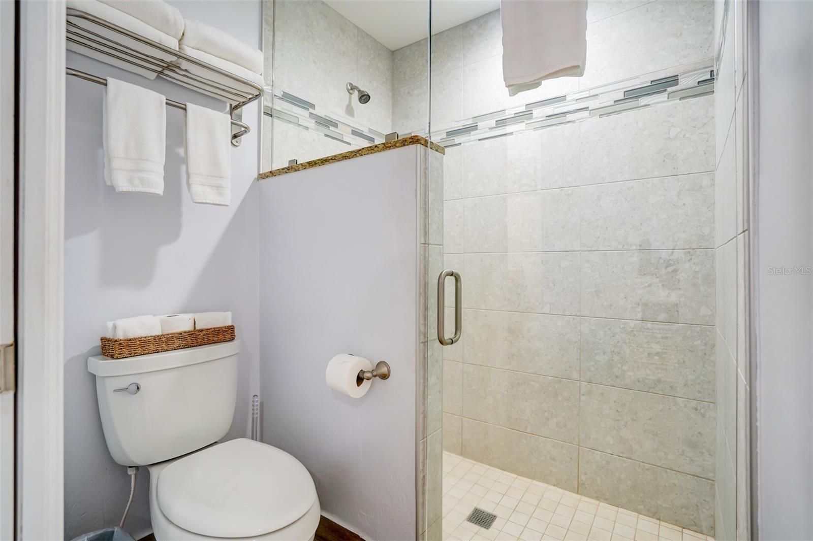 Bathroom with a glass-enclosed tiled shower and white toilet beneath a towel rack.