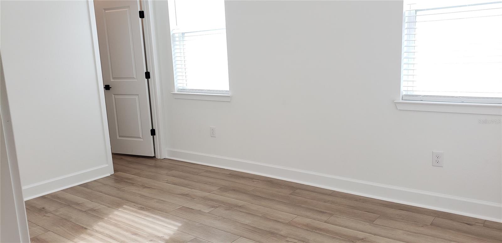 Empty room with wood-look flooring, two windows, and a paneled door.