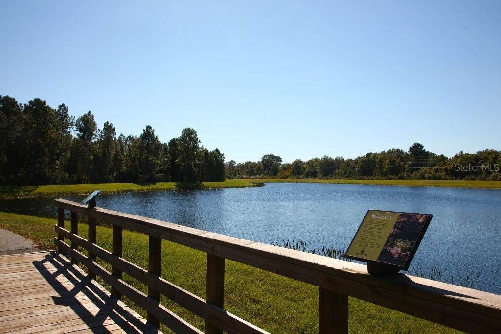 22167 BLAZING STAR RUN