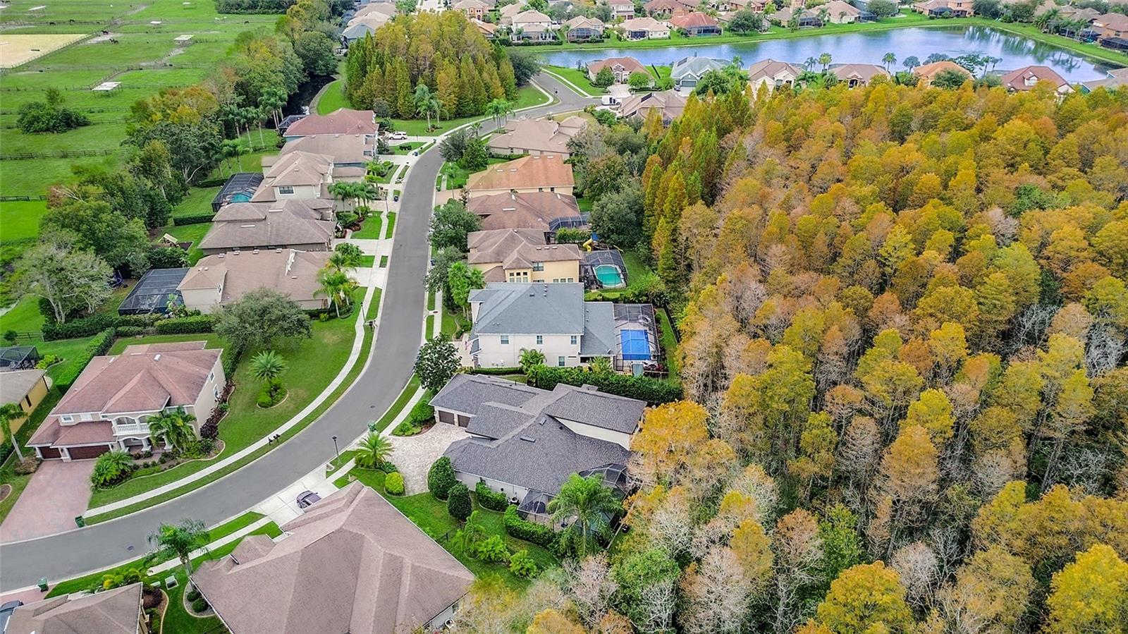 15217 WIND WHISPER DR