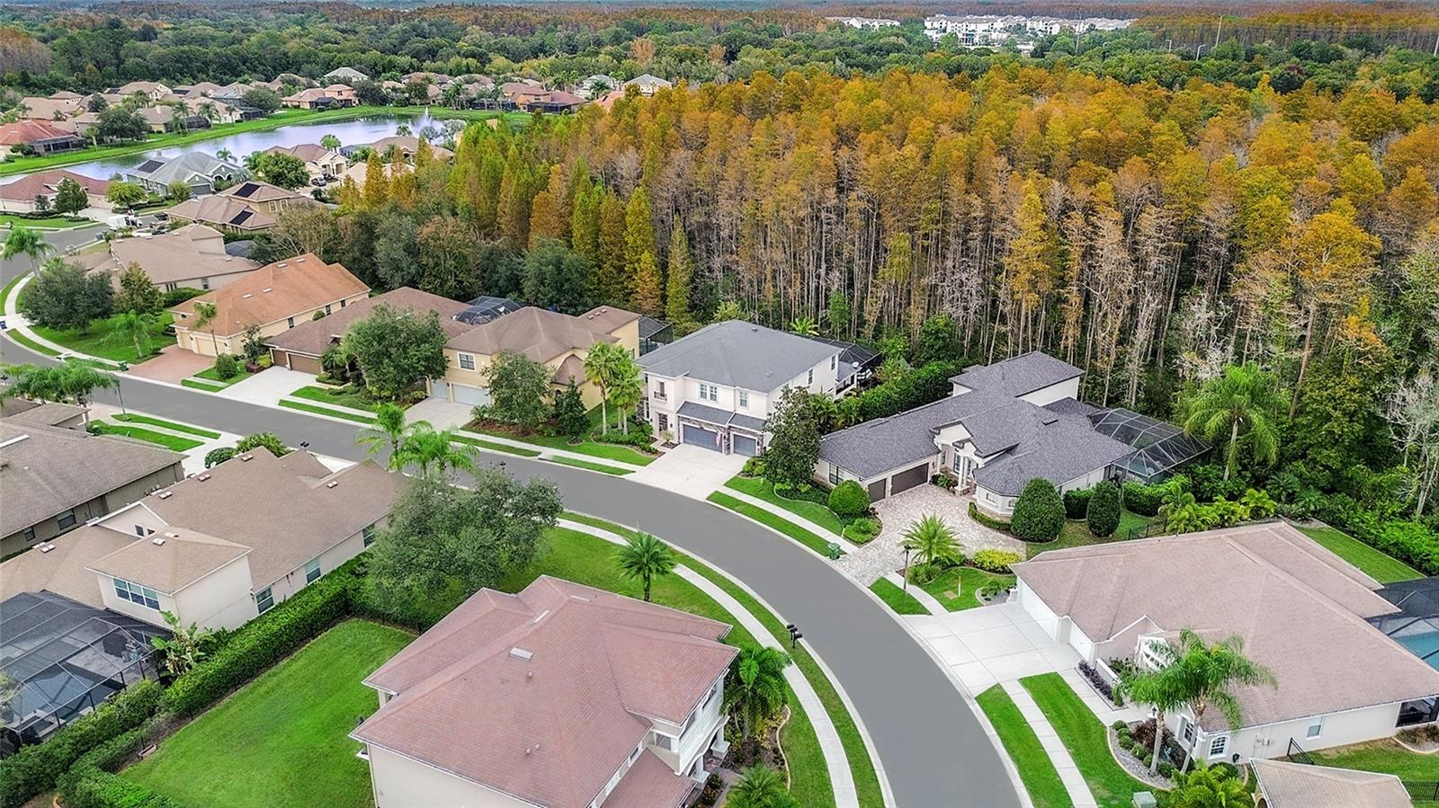 15217 WIND WHISPER DR