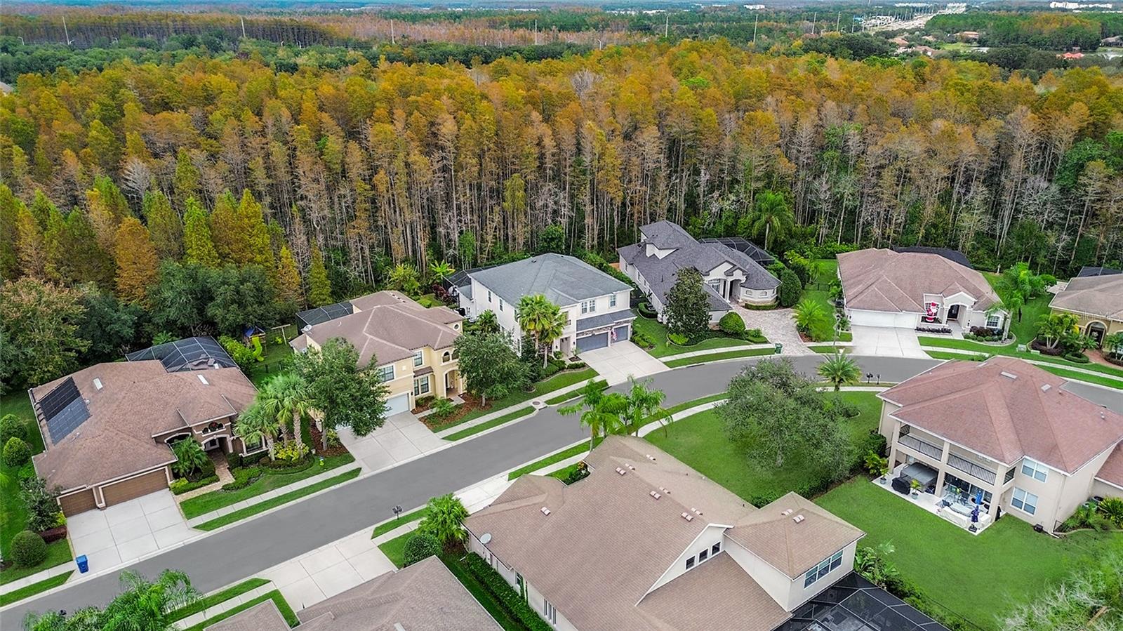 15217 WIND WHISPER DR