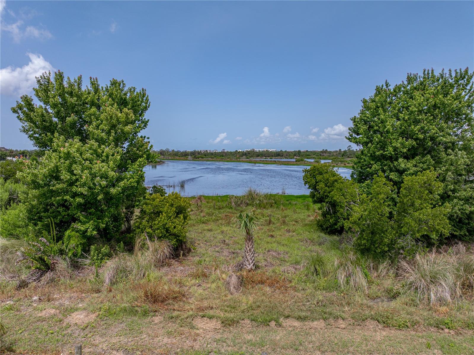 1701 BONITA BLUFF CT