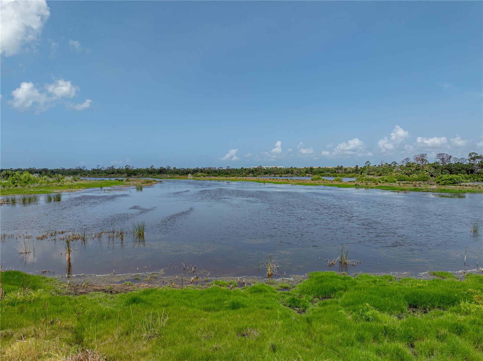 1701 BONITA BLUFF CT