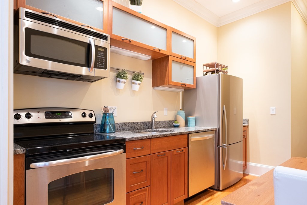 373 Broadway Unit: 3LR