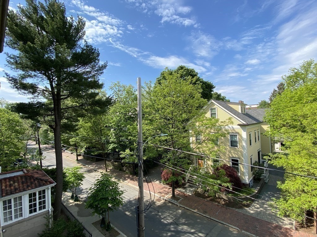 79 Martin Street Unit: 33