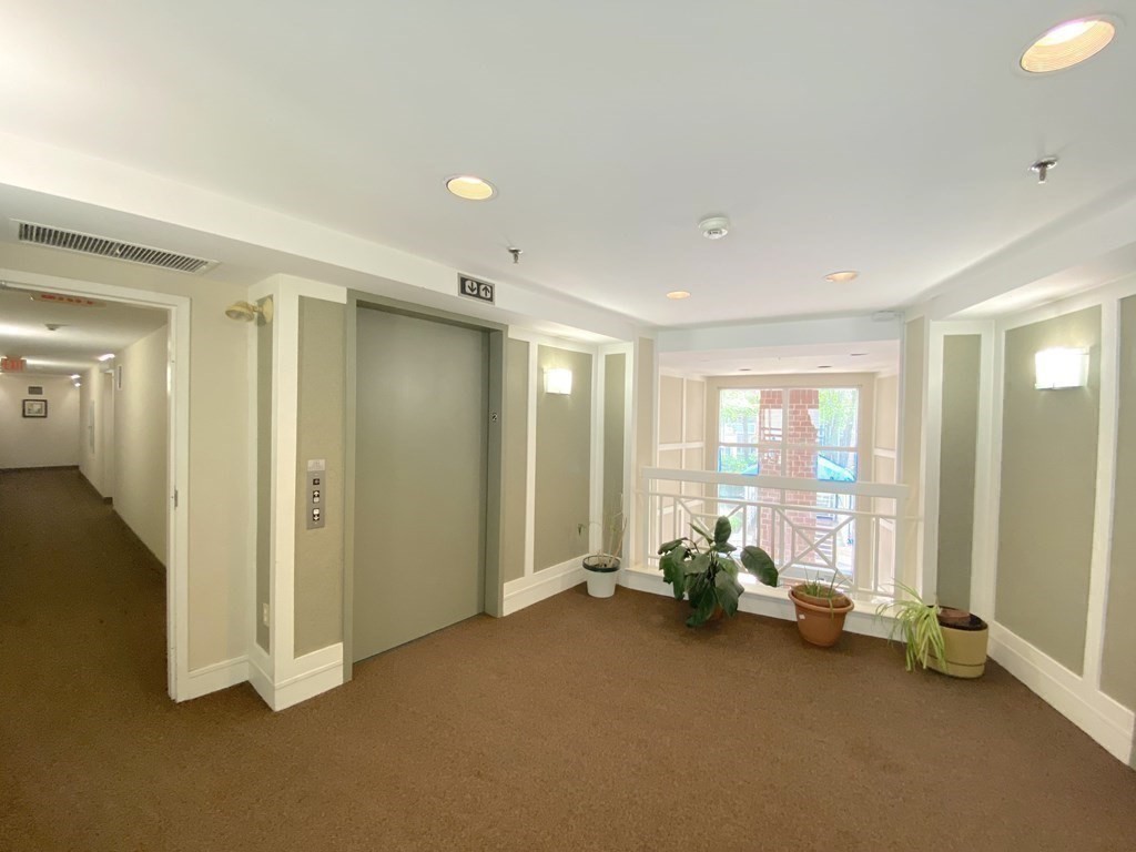 20 Chestnut Unit: 20
