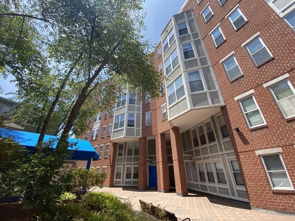 20 Chestnut Unit: 20