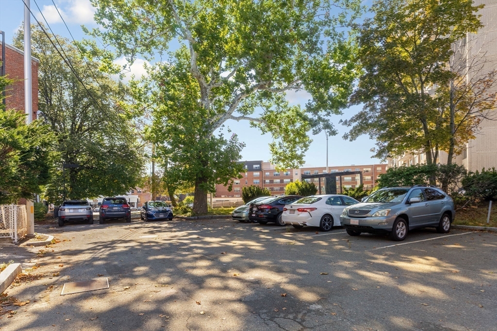 550 Main Street # 6