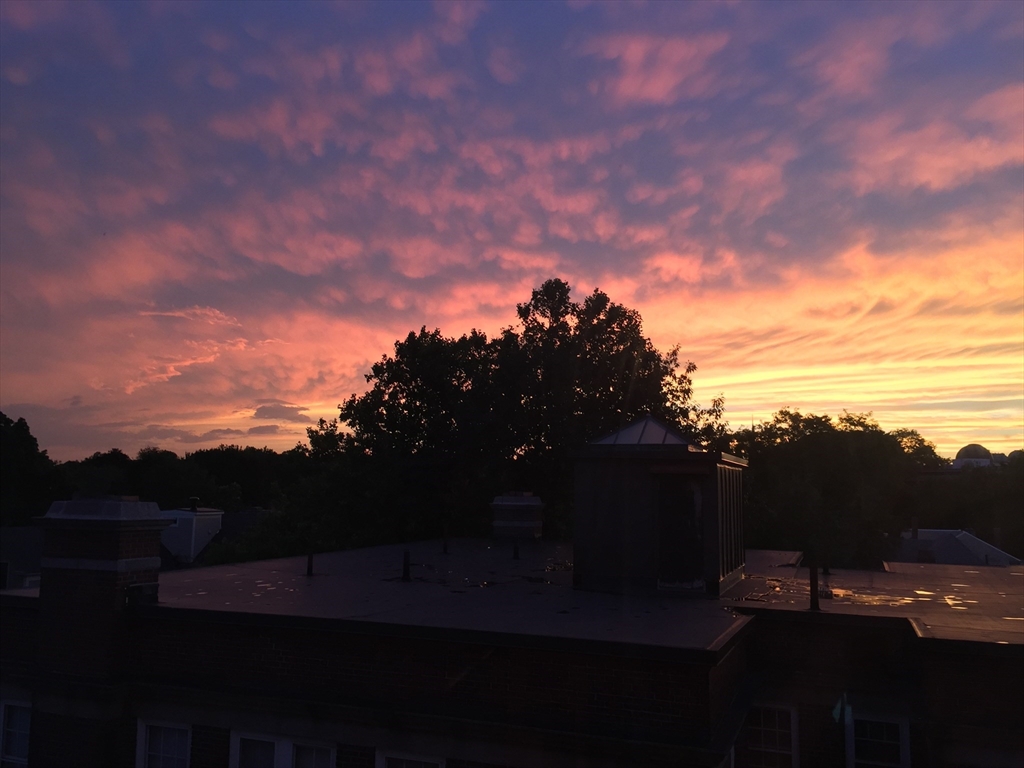 29 Concord Ave # 715