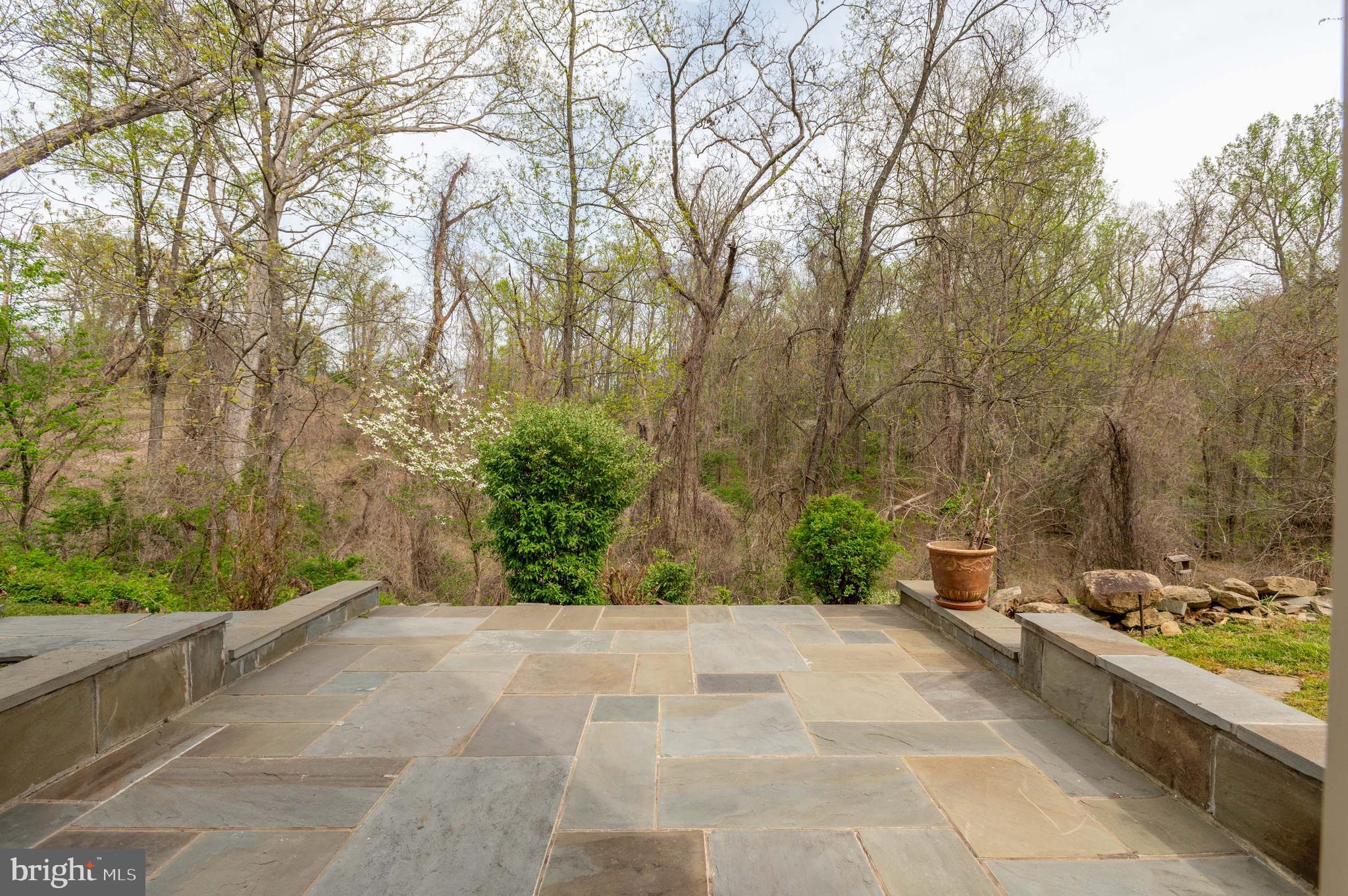 35162 NOTRE DAME LANE