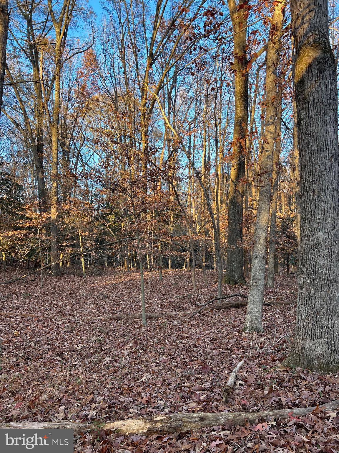 Port Tobacco Rd