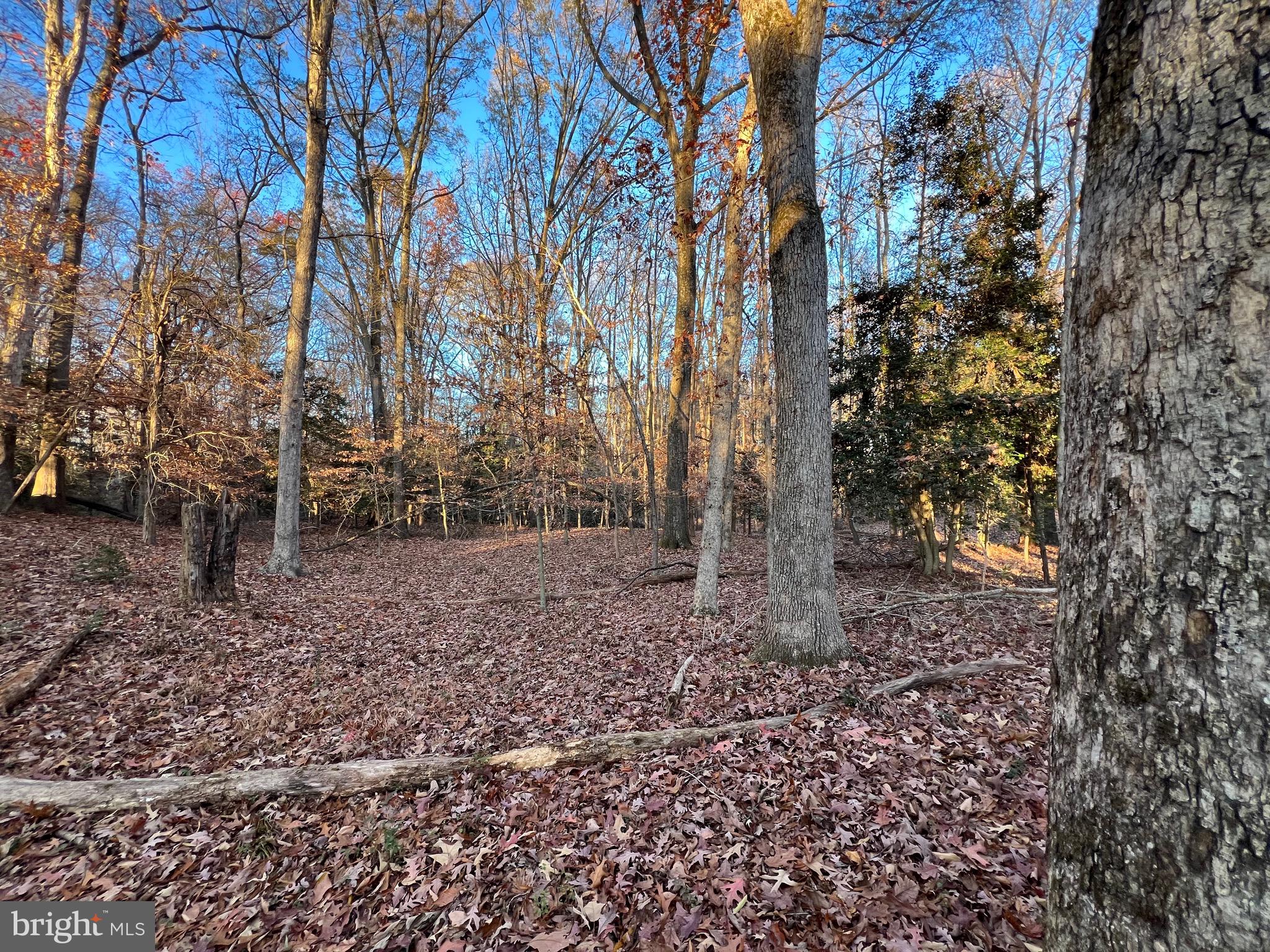 Port Tobacco Rd